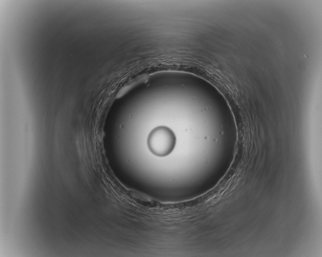 X0000116330769200912011132