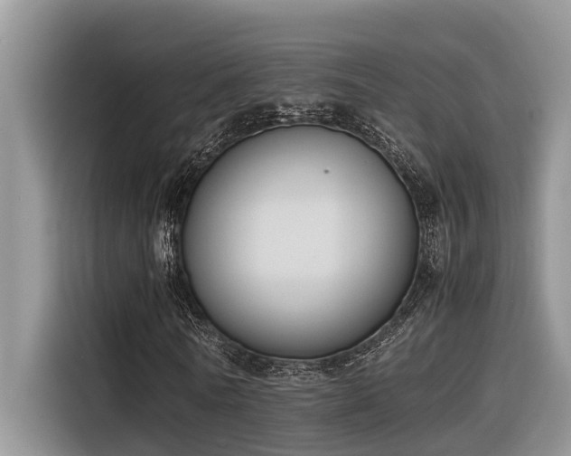 X0000116330770200912011132