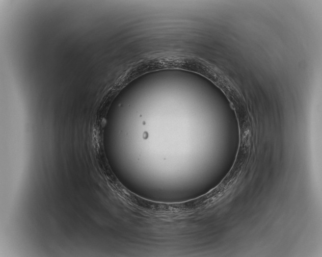 X0000116330772200912011132