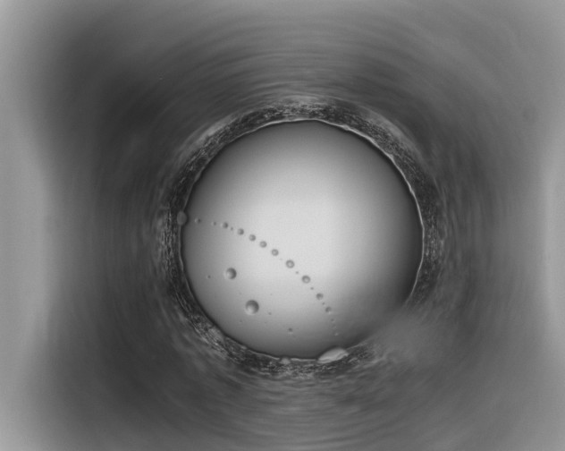 X0000116330773200912011132
