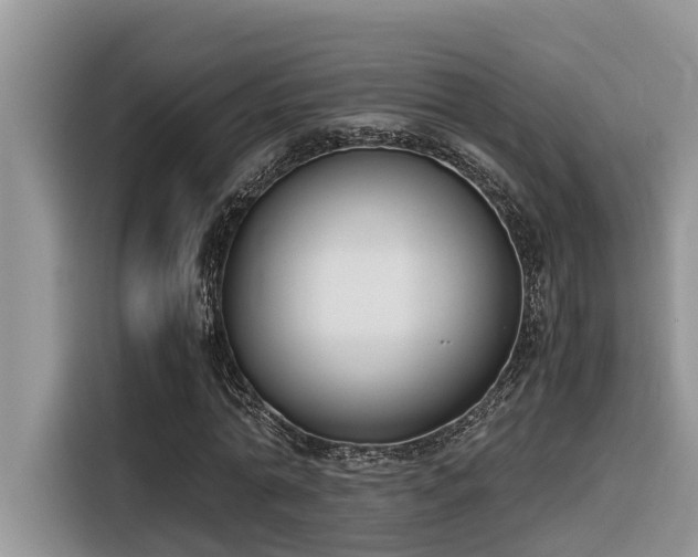 X0000116330774200912011132