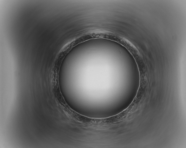 X0000116330775200912011132