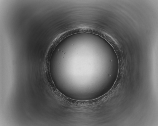 X0000116330776200912011132