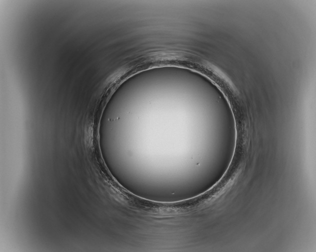 X0000116330777200912011132