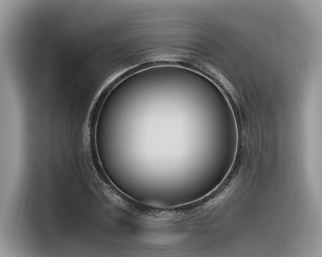 X0000116330779200912011132