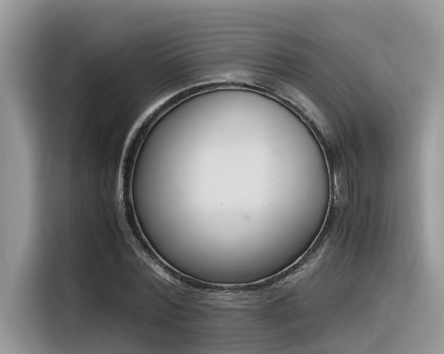 X0000116330780200912011132