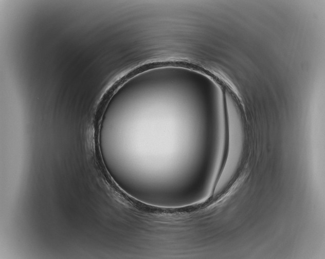 X0000116330781200912011132
