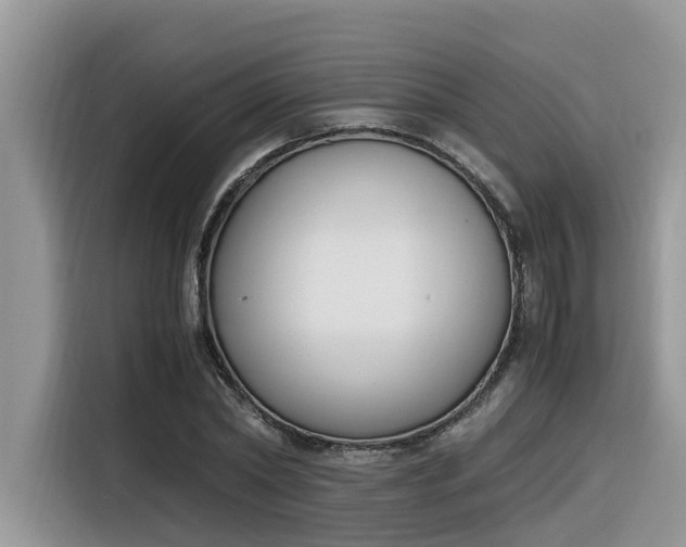 X0000116330782200912011131