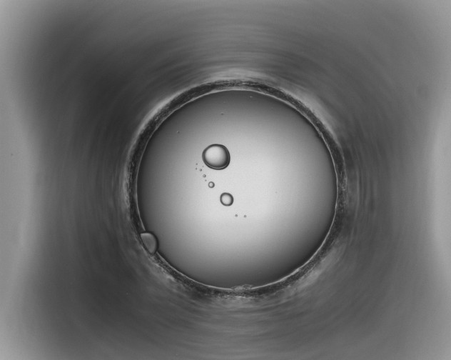 X0000116330783200912011131