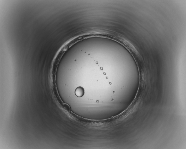 X0000116330784200912011131