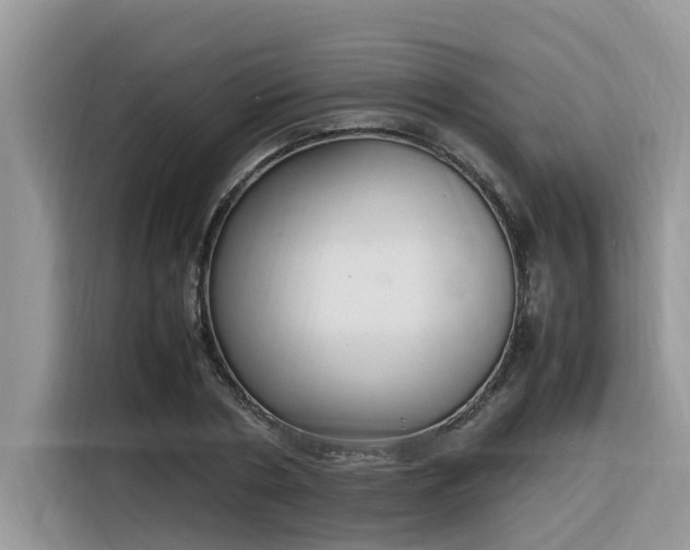 X0000116330786200912011131