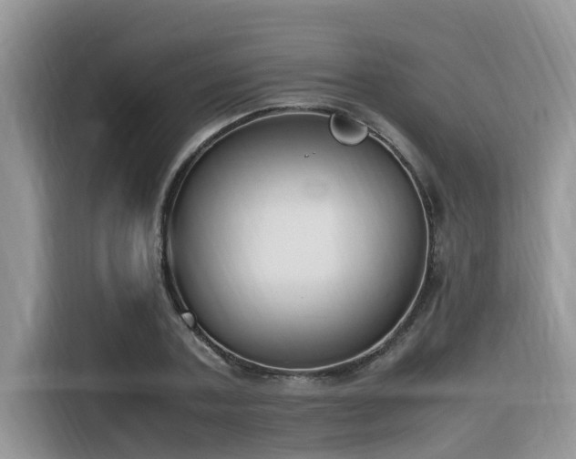 X0000116330787200912011131
