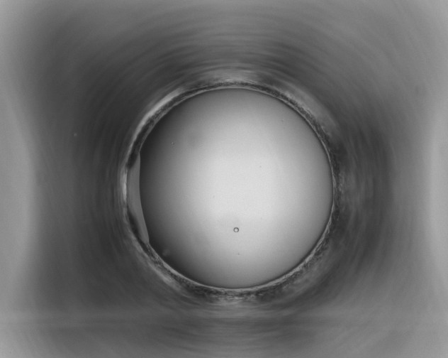 X0000116330790200912011131