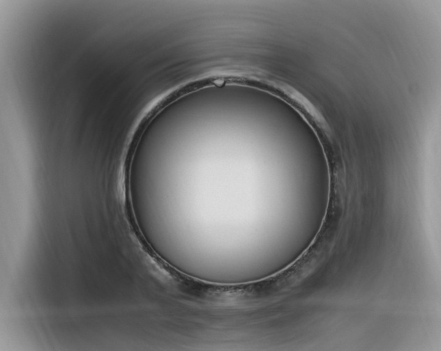X0000116330791200912011131