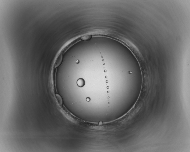 X0000116330792200912011131
