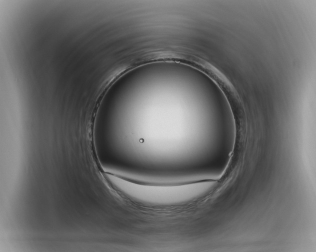 X0000116330793200912011131