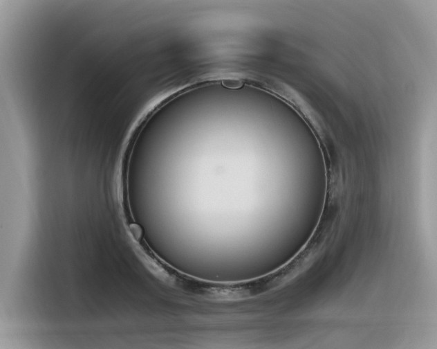 X0000116330795200912011131