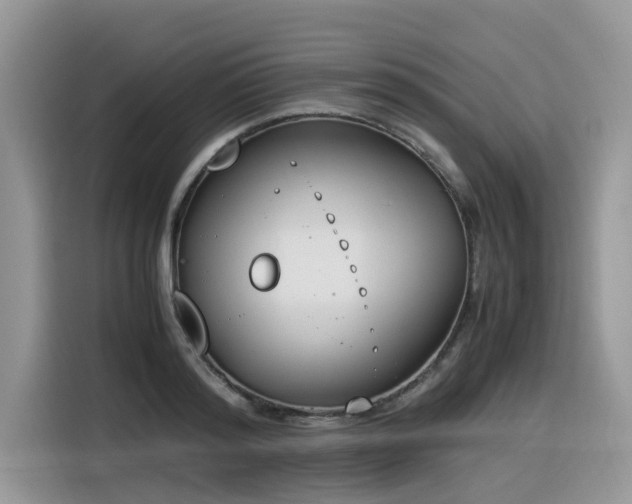 X0000116330796200912011131