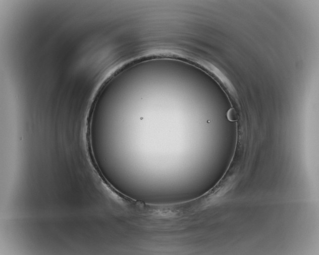 X0000116330799200912011131