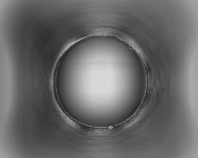 X0000116330803200912011131