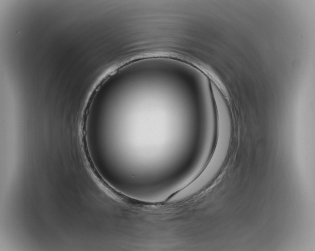 X0000116330805200912011131