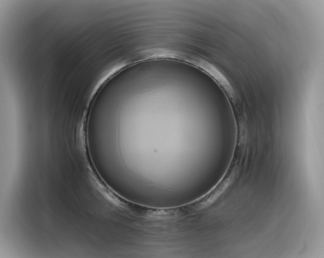 X0000116330806200912011131