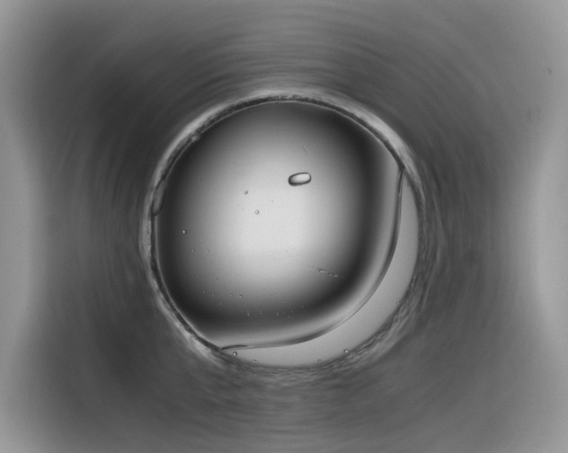 X0000116330807200912011131