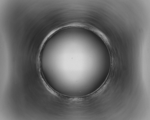 X0000116330808200912011131