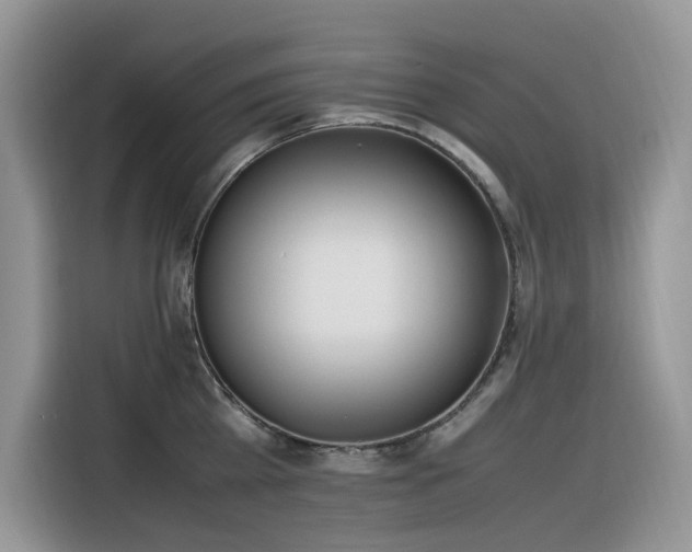 X0000116330809200912011131