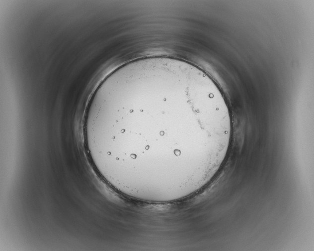 X0000116330810200912011131