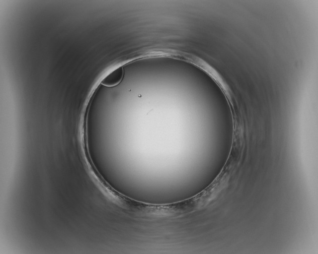 X0000116330811200912011131