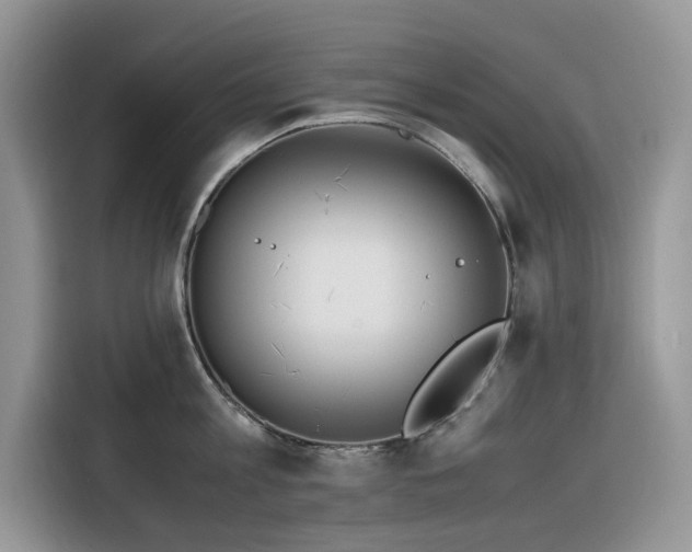 X0000116330813200912011131