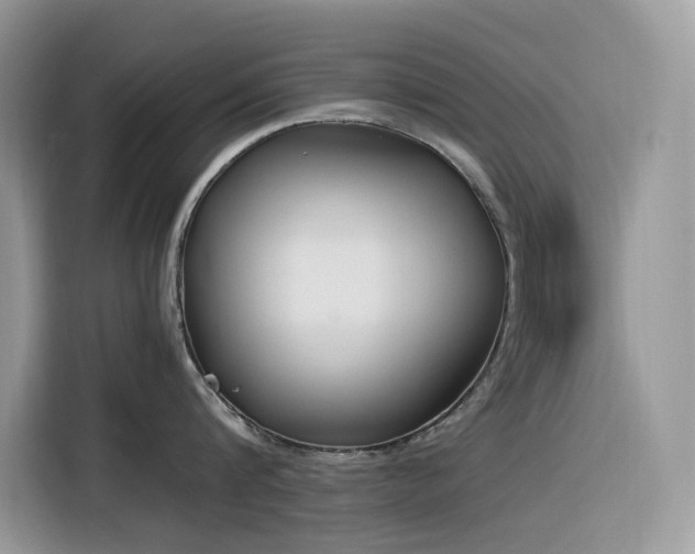 X0000116330816200912011131