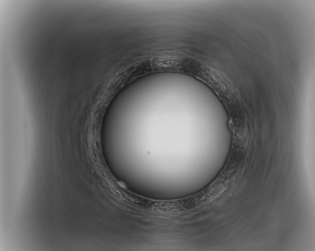 X0000116330817200912011130