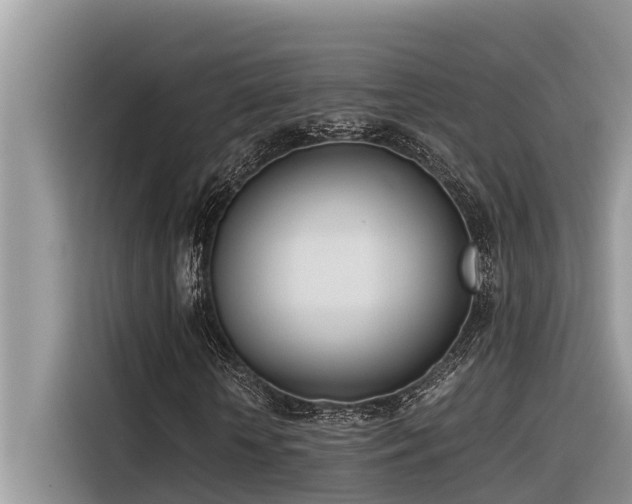X0000116330818200912011130