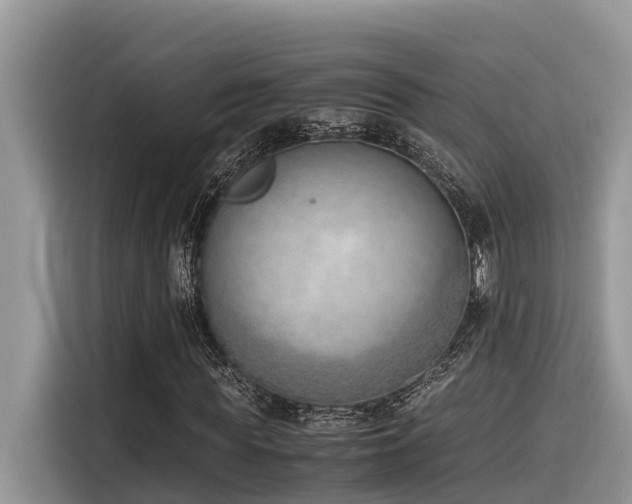 X0000116330819200912011130