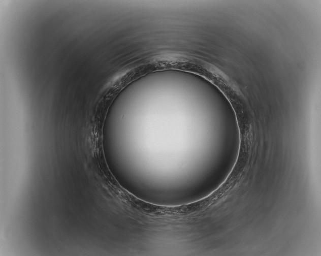 X0000116330822200912011130