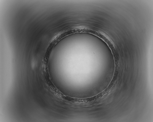 X0000116330823200912011131