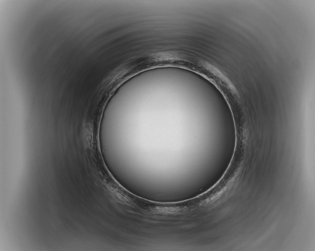 X0000116330825200912011131