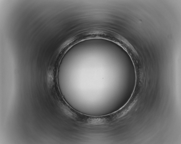 X0000116330826200912011131
