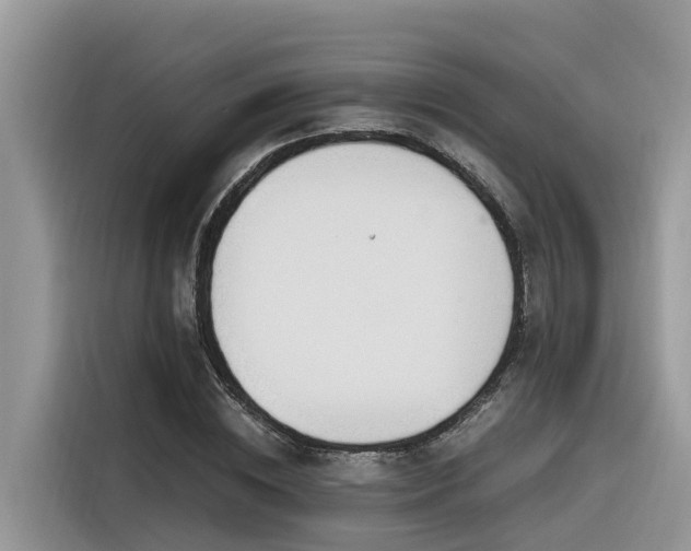 X0000116330828200912011131