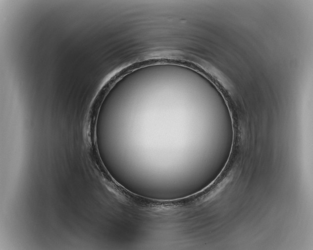 X0000116330830200912011131
