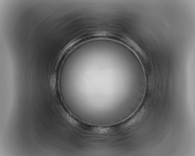 X0000116330831200912011131
