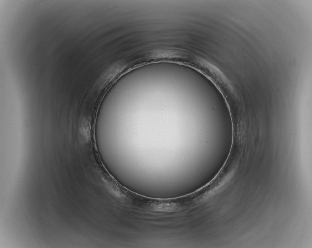 X0000116330833200912011131