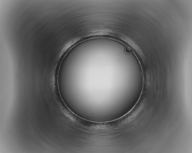 X0000116330834200912011131