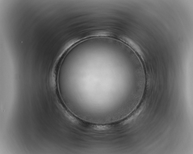 X0000116330835200912011131