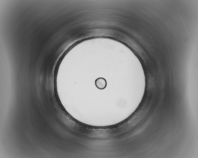 X0000116330836200912011131