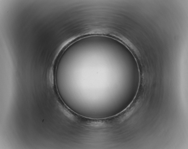 X0000116330838200912011131
