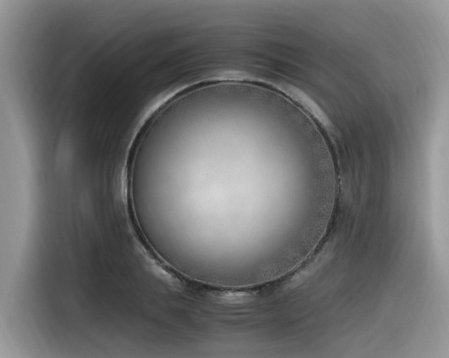 X0000116330839200912011131
