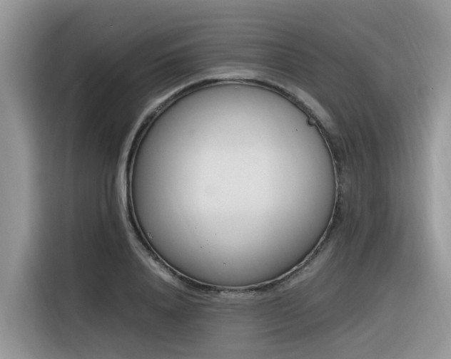 X0000116330840200912011131